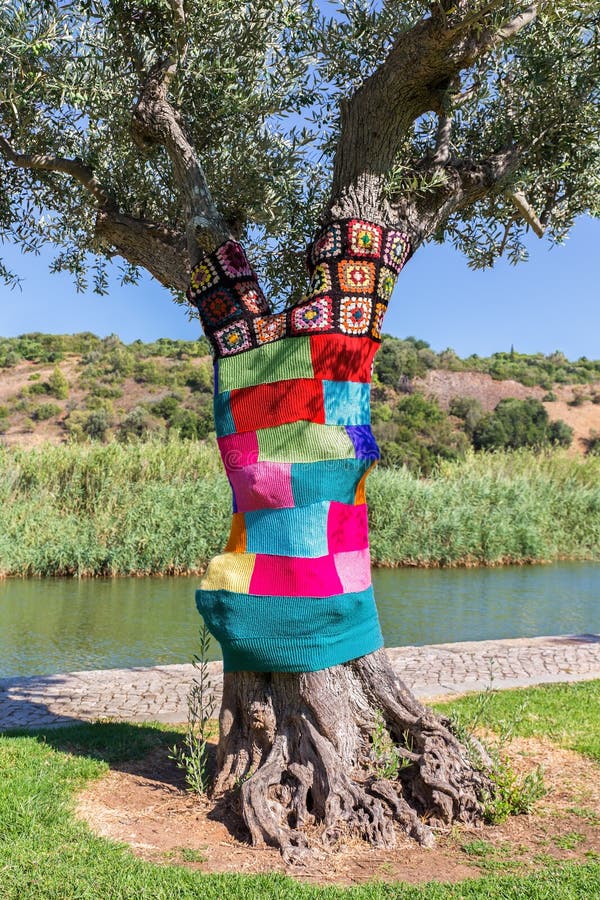 Olivenbaum gekleidet in der bunten gestrickten Strickjacke lizenzfreies stockbild