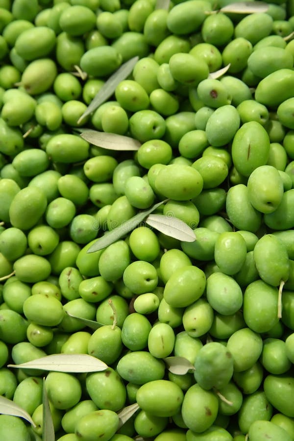 Fresh green olives whith leaves. Fresh green olives whith leaves