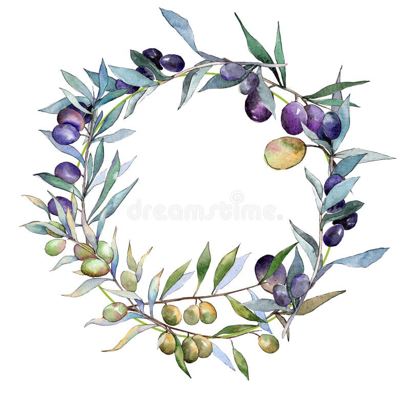 Olives vertes et noires Ensemble d'illustration de fond d'aquarelle Place d'ornement de frontière de vue illustration stock Olives vertes et noires Ensemble d'illustration de fond d'aquarelle Place d'ornement de frontière de vue illustration stock