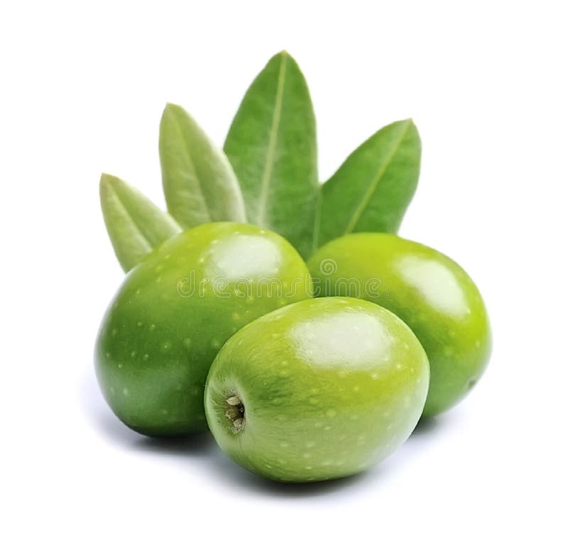 Olivgrüne Frucht- und Olivenblätter lizenzfreies stockbild