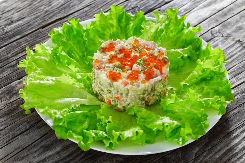 Olivier沙拉的部分用切好的腌汁、香肠和vege 免版税库存照片