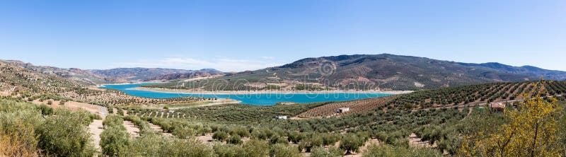 Olivträd runt om sjön Iznajar i Andalucia royaltyfri foto Olivträd runt om sjön Iznajar i Andalucia royaltyfri foto