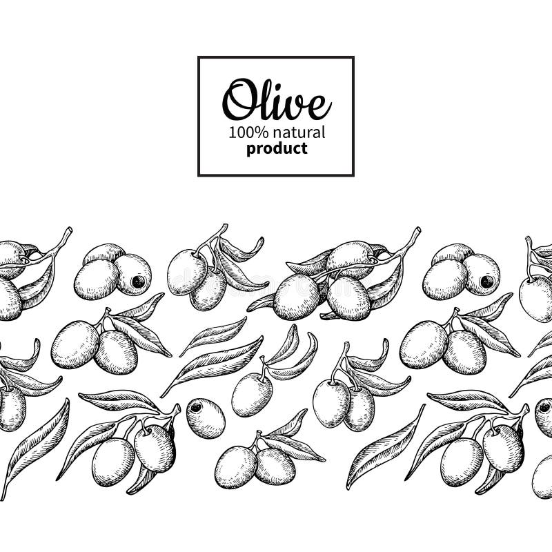 Oliwa z oliwek etykietka Wręcza patroszoną wektorową ilustrację gałąź z b ilustracja wektor Oliwa z oliwek etykietka Wręcza patroszoną wektorową ilustrację gałąź z b ilustracja wektor