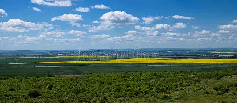 Oljeraffinaderiet bland de gula rapsfröfälten på backgroen arkivbilder Oljeraffinaderiet bland de gula rapsfröfälten på backgroen arkivbilder