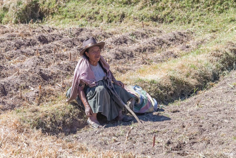Ollantaytambo, Peru - około Czerwiec 2015: Stara kobieta w tradycyjnych Peruwiańskich ubraniach siedzi na polu blisko Cusco, Peru obrazy stock Ollantaytambo, Peru - około Czerwiec 2015: Stara kobieta w tradycyjnych Peruwiańskich ubraniach siedzi na polu blisko Cusco, Peru obrazy stock