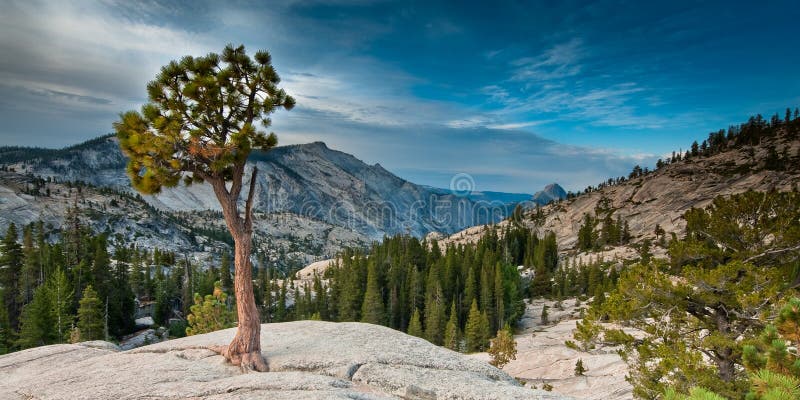 olmsted пункт yosemite стоковые фотографии rf olmsted пункт yosemite стоковые фотографии rf