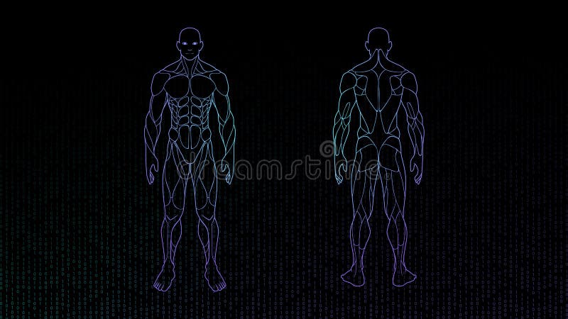 Ologramma al neon di anatomia del corpo umano di forma di contorno sporgente a fondo nero, elemento di progettazione di interfacc illustrazione vettoriale