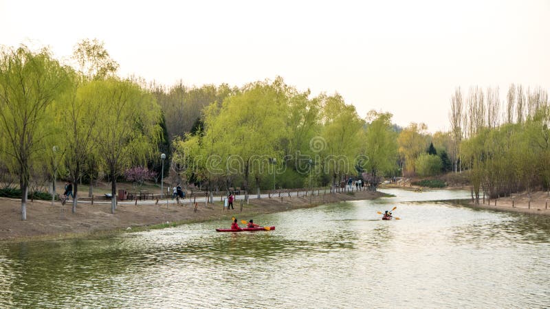 Olympiskt Forest Park Spring för Peking landskap royaltyfri bild