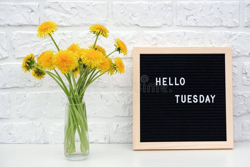 Olá! palavras de terça-feira na placa da letra preta e no ramalhete de flores amarelas dos dentes-de-leão na tabela contra a pare fotografia de stock royalty free Olá! palavras de terça-feira na placa da letra preta e no ramalhete de flores amarelas dos dentes-de-leão na tabela contra a pare fotografia de stock royalty free