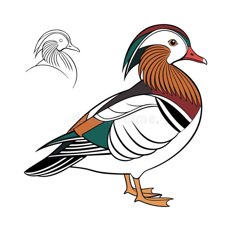 Olśniewająca ilustracja kaczki mandaryńskiej ilustracji