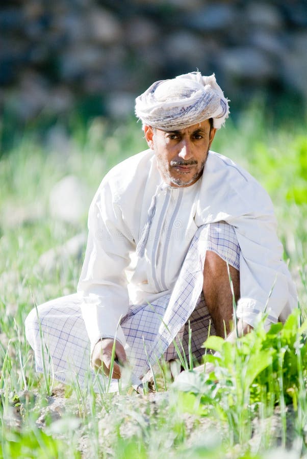 Omani Rice Farmer