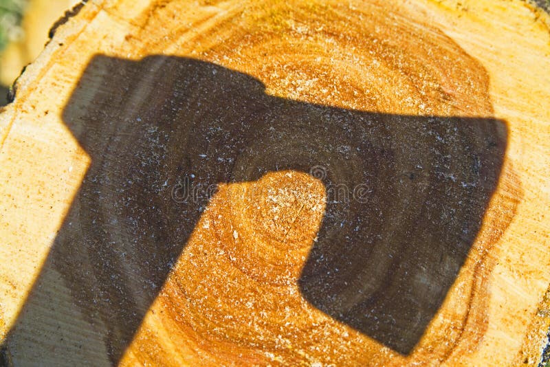 Ombra dell'ascia sul libro macchina fotografia stock Ombra dell'ascia sul libro macchina fotografia stock