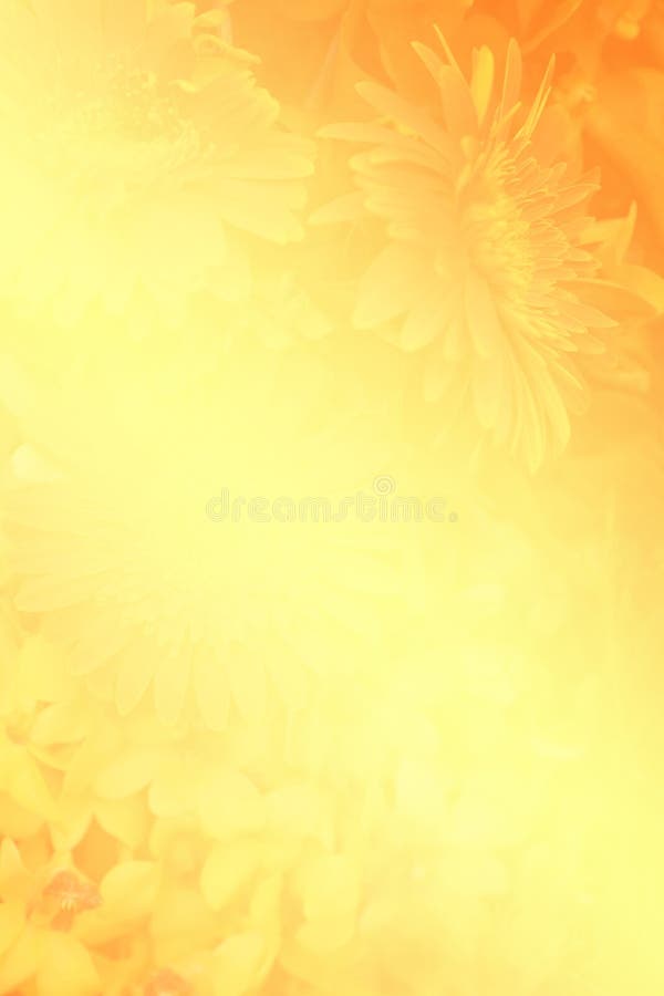 Ombre brouillée de fleur sur le bcakground vif jaune et orange lumineux de couleur