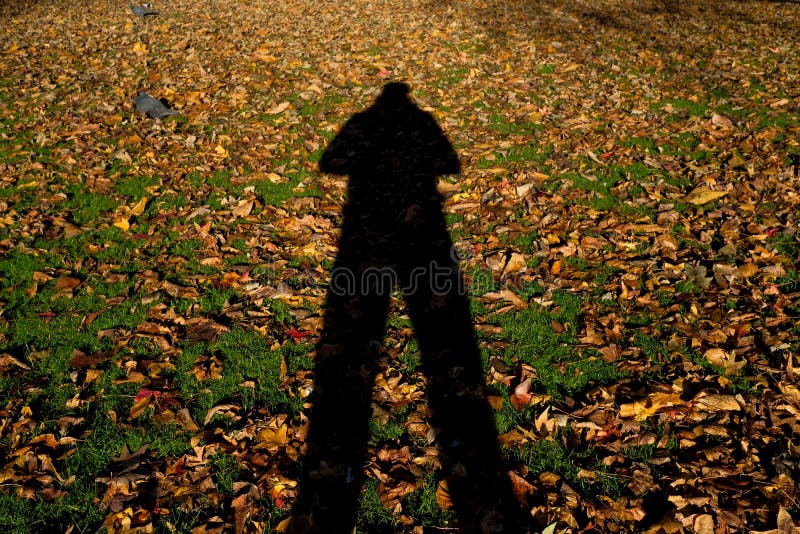 Ombre de l'homme en parc image stock Ombre de l'homme en parc image stock