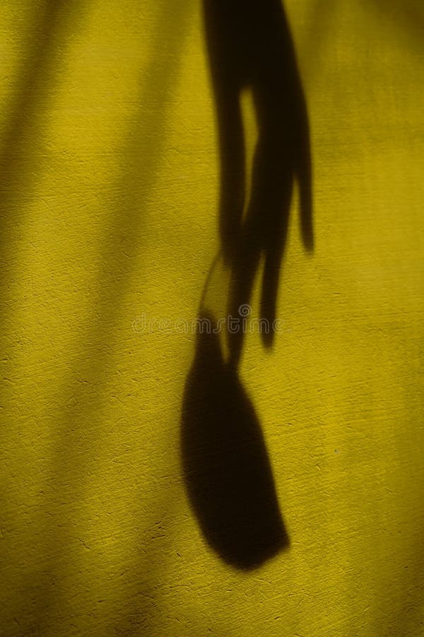 Ombre floue de la main femelle avec feuille sur fond de mur de grunge. jeu abstrait de lumière et ombre lumière naturelle jeu d'om