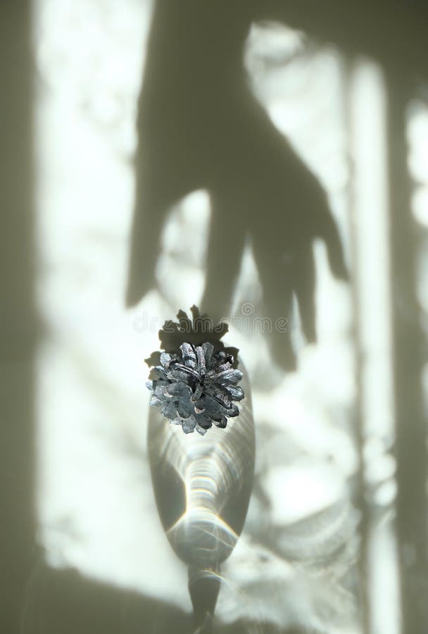 Ombre floue de la main femelle et verre de vin avec cône de jouet de noël jeu abstrait de lumière et ombre jeu illusion