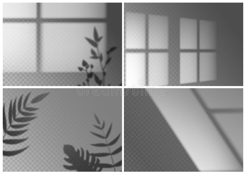 Ombreggiatura finestra realistica Foglie di Monstera, rami di palma e telai di finestra sovrastano gli effetti della luce natural illustrazione di stock