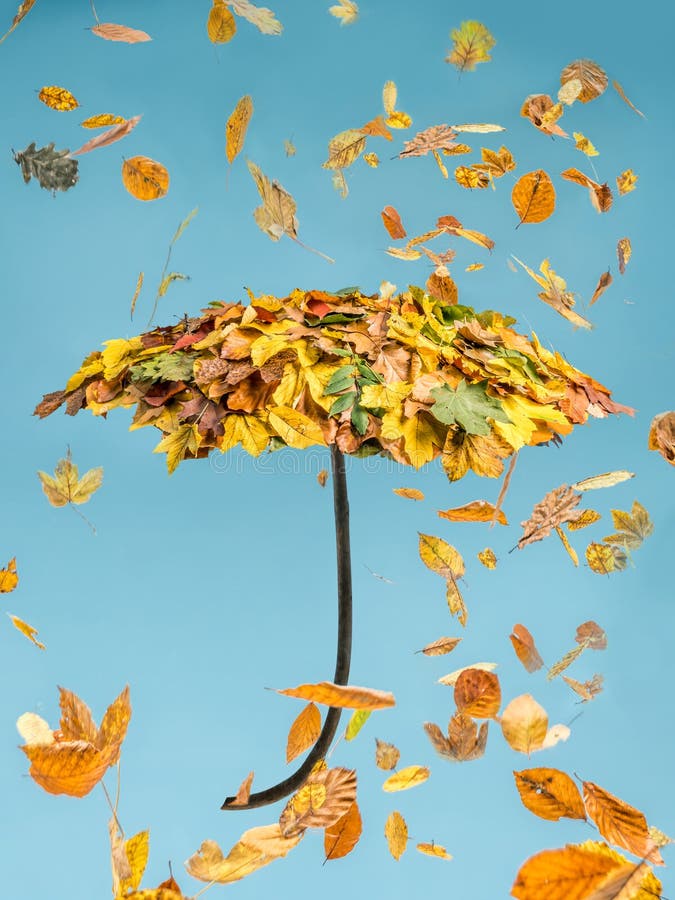 Ombrello di autunno fotografie stock libere da diritti Ombrello di autunno fotografie stock libere da diritti