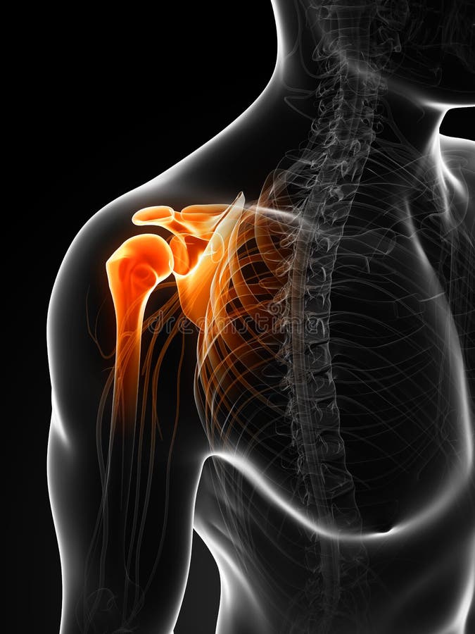 3d rendered illustration of a painful shoulder. 3d rendered illustration of a painful shoulder