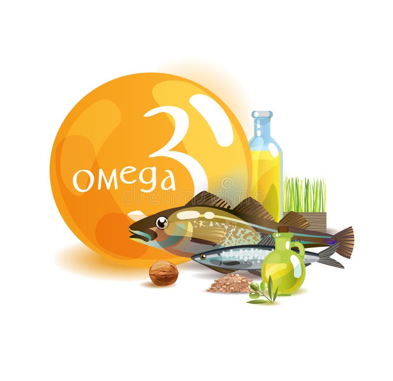 Omega 3. Basics of healthy nutrition. Polyunsaturated fatty acids in foods high in Omega 3. Natural organic food vector illustration Omega 3. Basics of healthy nutrition. Polyunsaturated fatty acids in foods high in Omega 3. Natural organic food vector illustration