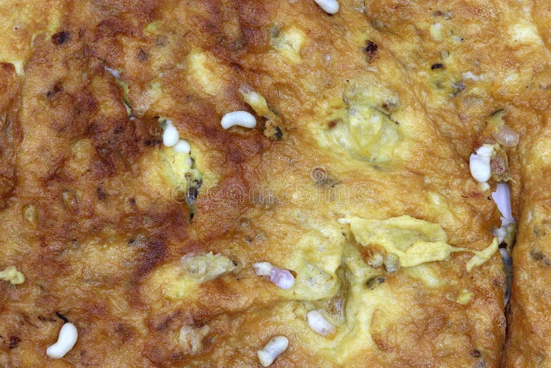 Omelet met Rode miereneieren: De rode miereneieren zijn gekookt in types van Thais voedsel stock foto Omelet met Rode miereneieren: De rode miereneieren zijn gekookt in types van Thais voedsel stock foto