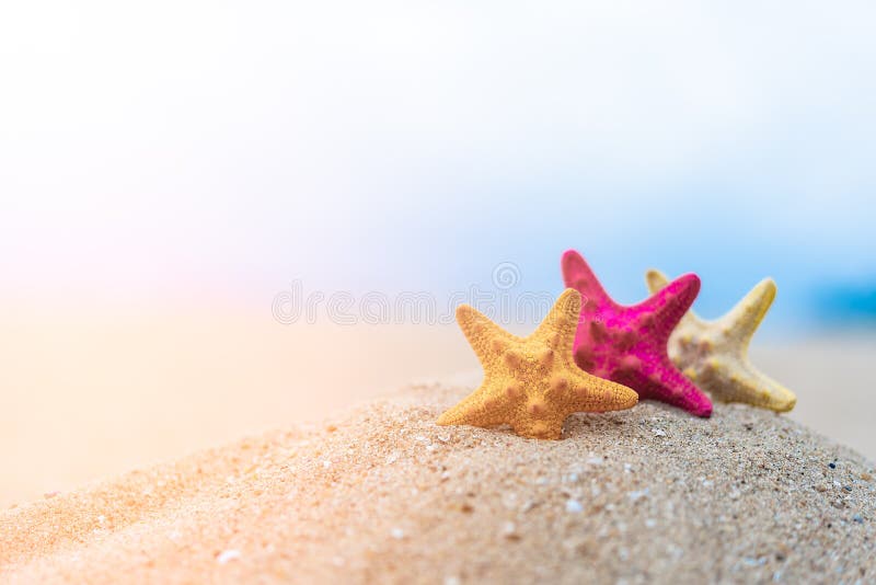 Omhoog gesloten op kleurrijke zeester mooie overzeese shells op de kust met blauwe hemelachtergrond Conceptuele vakantie en de zo stock afbeelding Omhoog gesloten op kleurrijke zeester mooie overzeese shells op de kust met blauwe hemelachtergrond Conceptuele vakantie en de zo stock afbeelding