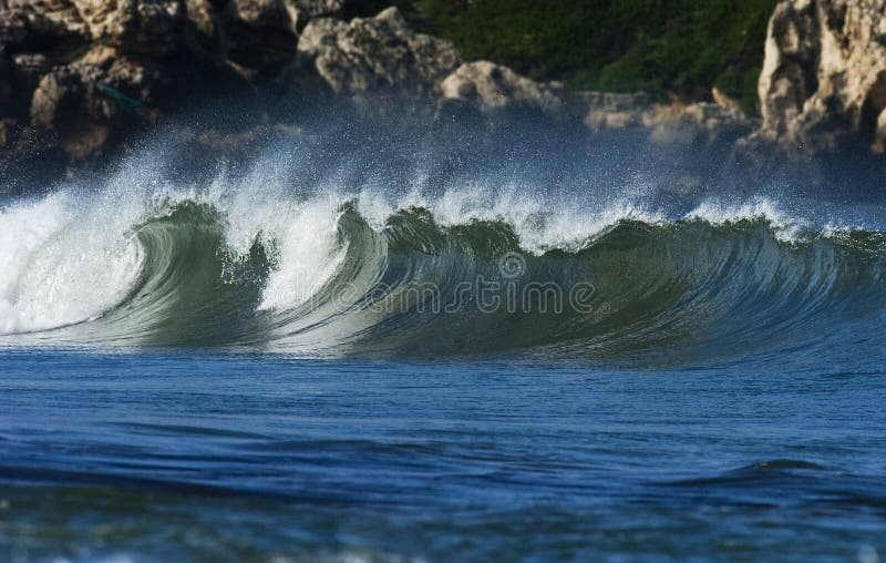Onda di oceano immagine stock libera da diritti Onda di oceano immagine stock libera da diritti