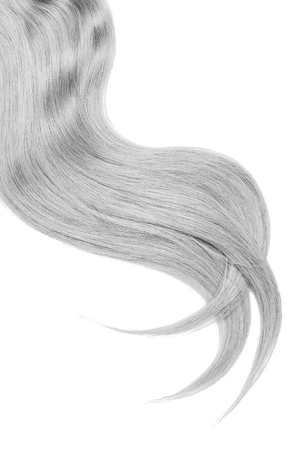 Onda do cabelo cinzento natural no fundo branco Rabo de cavalo ondulado imagem de stock Onda do cabelo cinzento natural no fundo branco Rabo de cavalo ondulado imagem de stock