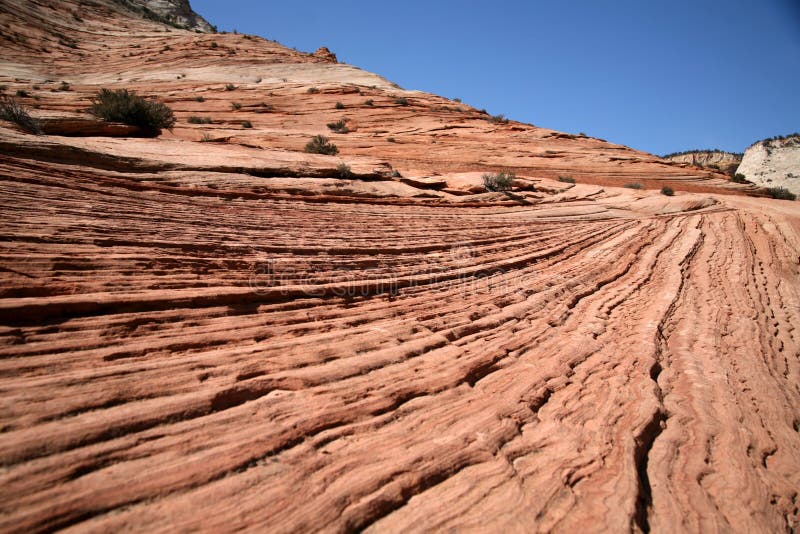 Onda - parque nacional de Zion, Utah imagen de archivo libre de regalías Onda - parque nacional de Zion, Utah imagen de archivo libre de regalías