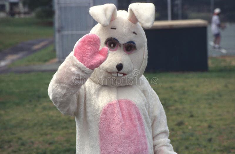 El conejo de Pascua saluda a la cámara fotos de archivo libres de regalías