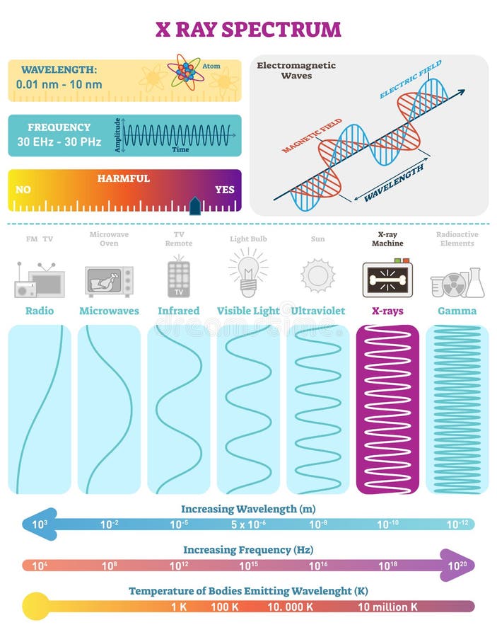 Electromagnetic Waves: X-ray Wave Spectrum. Vector illustration diagram with wavelength, frequency, harmfulness and wave structure. Science educational information. Info poster. Electromagnetic Waves: X-ray Wave Spectrum. Vector illustration diagram with wavelength, frequency, harmfulness and wave structure. Science educational information. Info poster.