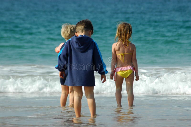 Onde está o peixe imagem de stock royalty free