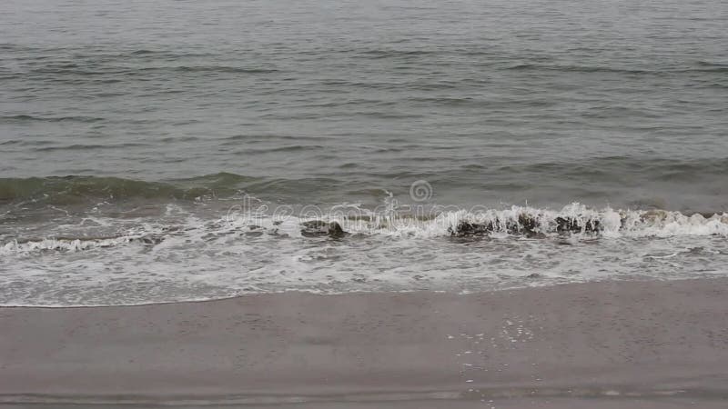 Onde oceaniche strette sulla spiaggia di sandy santa Cruz ca