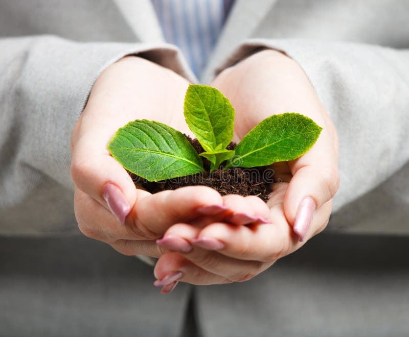 Onderneemster die weinig groene installatie i houden royalty-vrije stock afbeelding Onderneemster die weinig groene installatie i houden royalty-vrije stock afbeelding