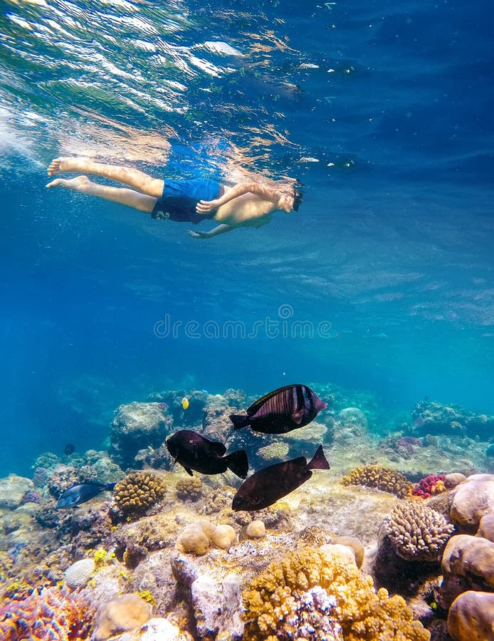 Onderwaterspruit van een jonge jongen die in rode overzees snorkelen stock foto Onderwaterspruit van een jonge jongen die in rode overzees snorkelen stock foto