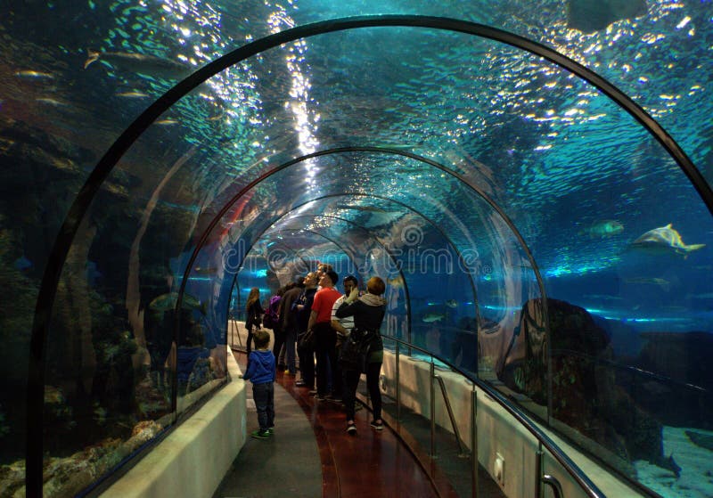 Het Aquarium Van Barcelona, Spanje Redactionele Foto Image of gevel