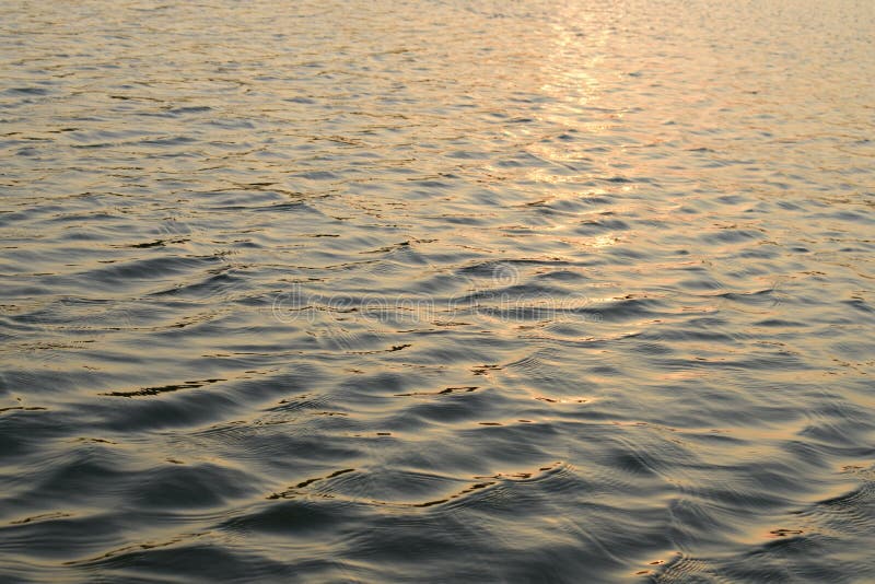 Ondinha da água na superfície do lago imagem de stock Ondinha da água na superfície do lago imagem de stock