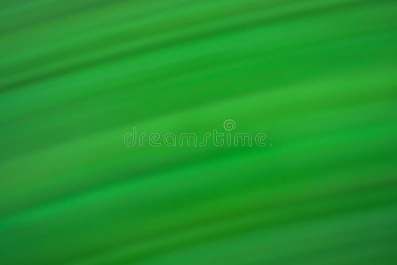 Ondoordringbaar dynamische abstracte groene achtergrond. ondoorzichtige bokeh groene achtergrond met bewegingseffect stock afbeelding Ondoordringbaar dynamische abstracte groene achtergrond. ondoorzichtige bokeh groene achtergrond met bewegingseffect stock afbeelding