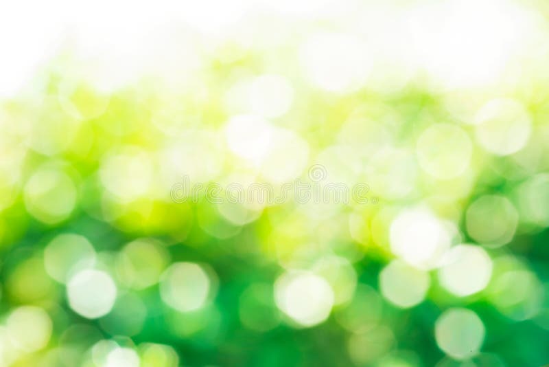 Onduidelijk beeld van abstracte groene bokeh van boom/tuinachtergrond