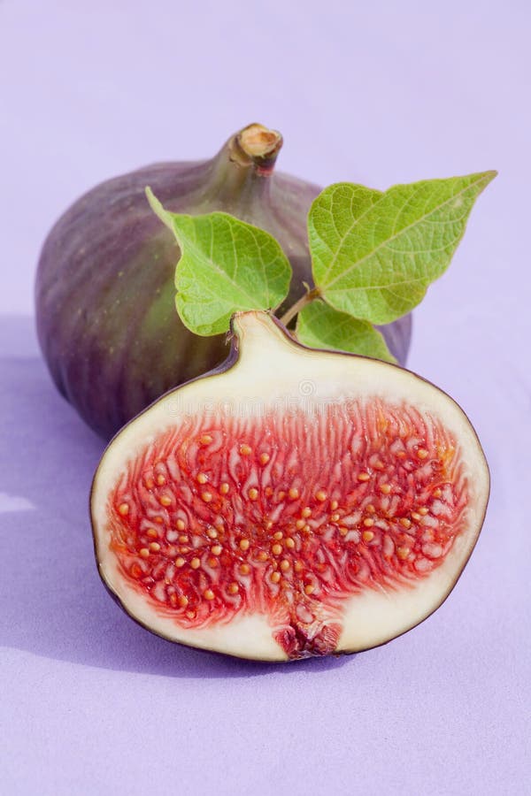 One beautiful fig stock image. Image of healthy, close 21078439