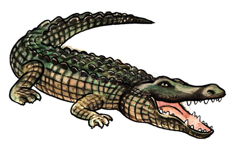 Crocodile Leg Stock Illustrations – 87 Crocodile Leg Stock ...