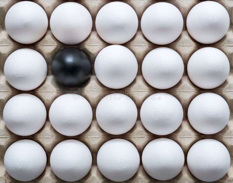 One black egg among white eggs in a carton egg box