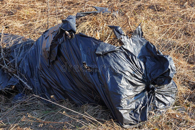 A Plastic Bag of Garden Waste Including Tree Bark and Vegetation, Lying on  Grass Stock Image - Image of bark, lawn: 240125019