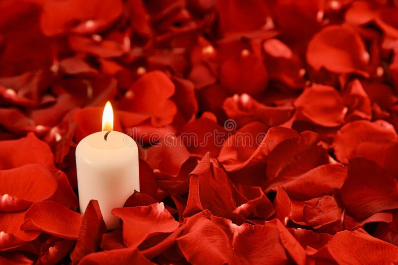 one burning candle stands in red rose petals stock image one burning candle stands in red rose petals stock image