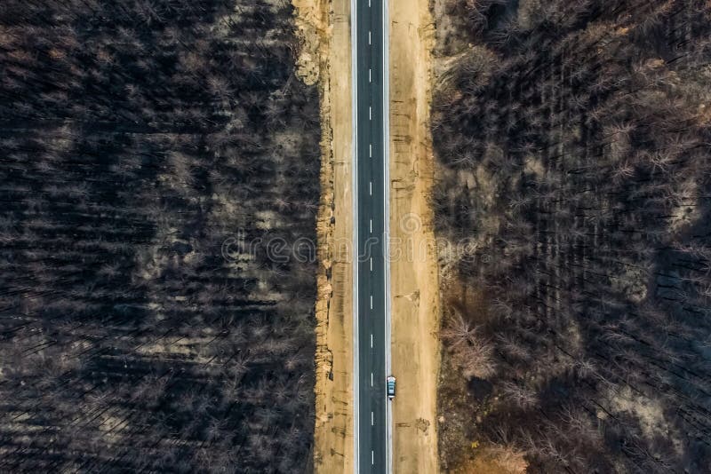 One car on empty asphalt highway between burnt pine forest stock photos