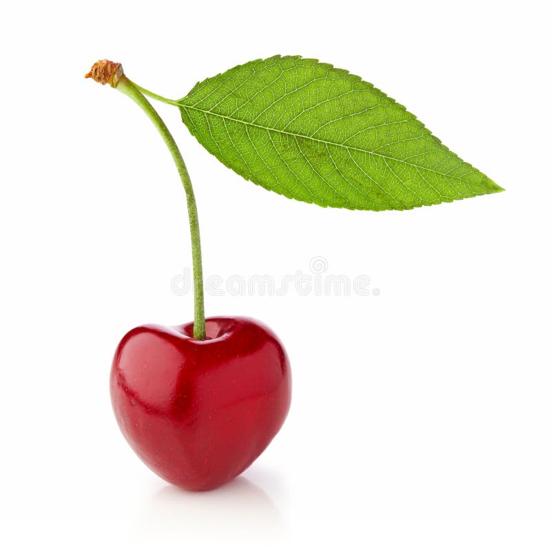 One cherry with leaf