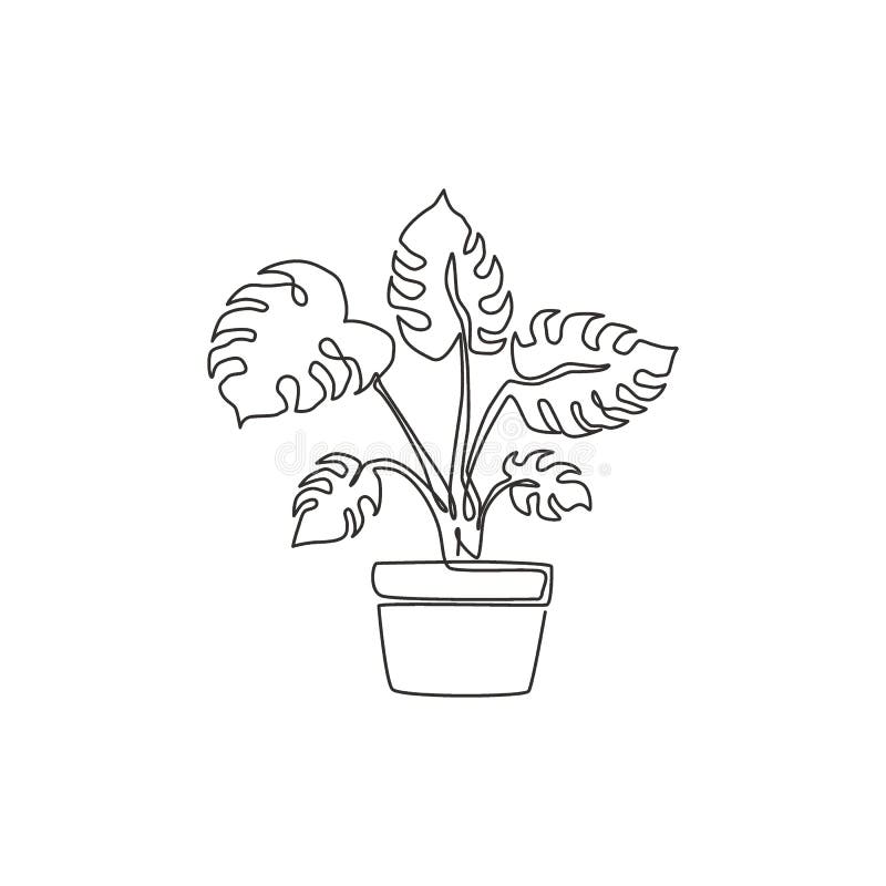 One Continuous Line Drawing Beauty Potted Tropical Leaf Monstera Plant ...