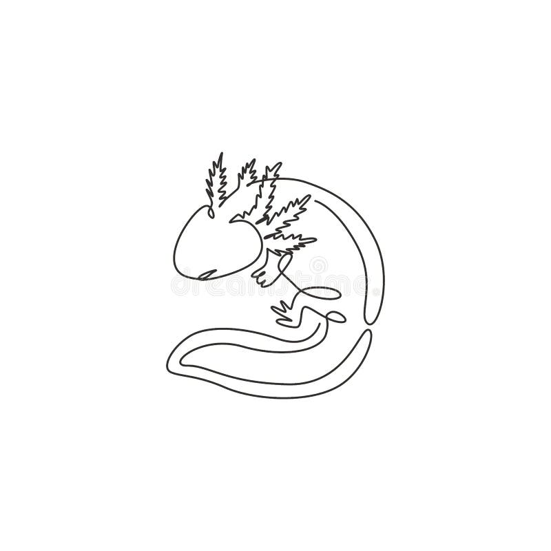 Axolotl Stock Illustrations 518 Axolotl Stock Illustrations Vectors Clipart Dreamstime Axolotl Stock Illustrations 518 Axolotl Stock Illustrations Vectors Clipart Dreamstime