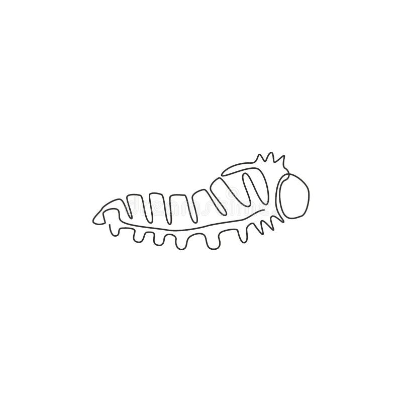 Larva Drawing  Apps on Google Play