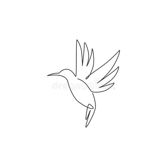 Continuous Line Drawing Hummingbird Stock Illustrations – 248 ...